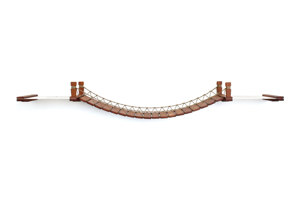 Double Cat Hammock and Climbing Bridge Combo