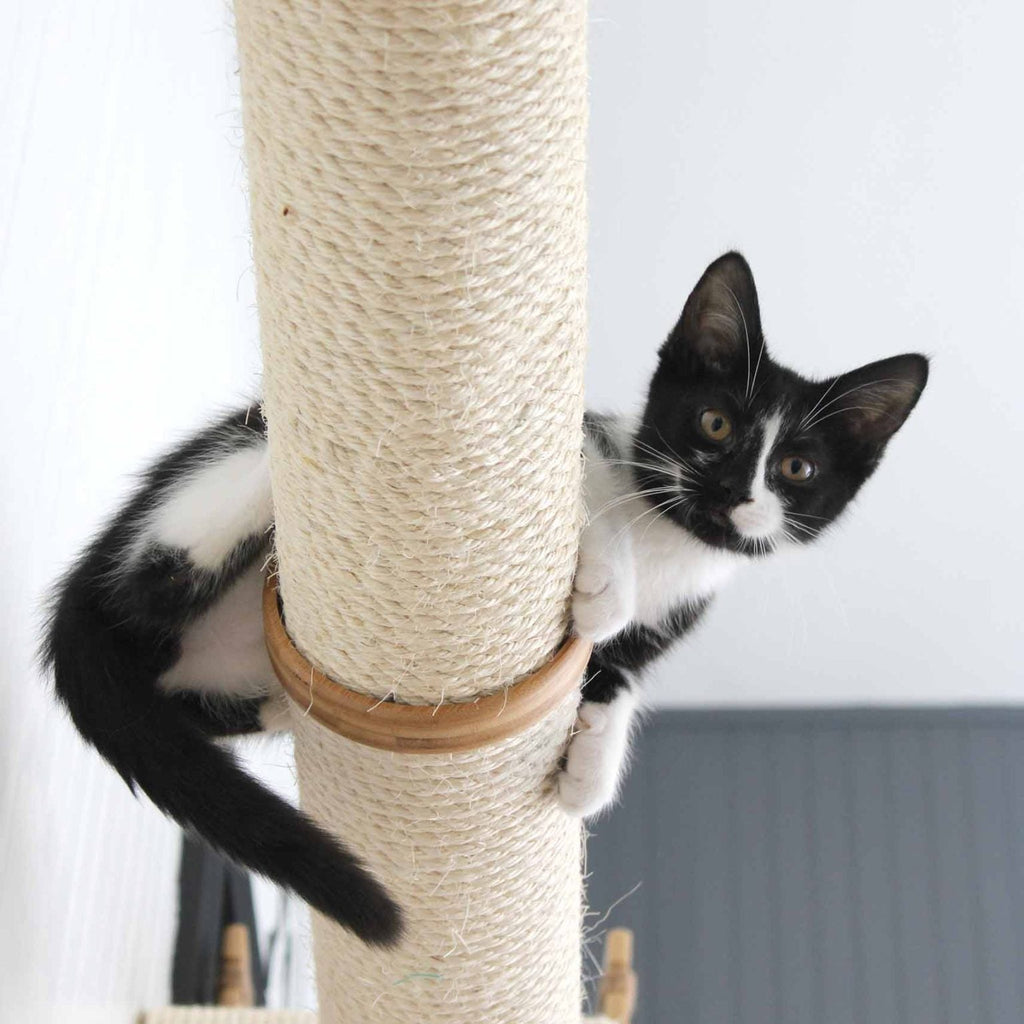 Horizontal Scratching Post for Cats