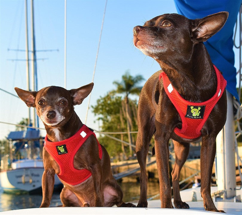 EcoBark Step In Dog Harness - XXXS to Small Breeds- Reflective Soft Mesh Harness for Teacup, Small Dogs and Puppies / Red