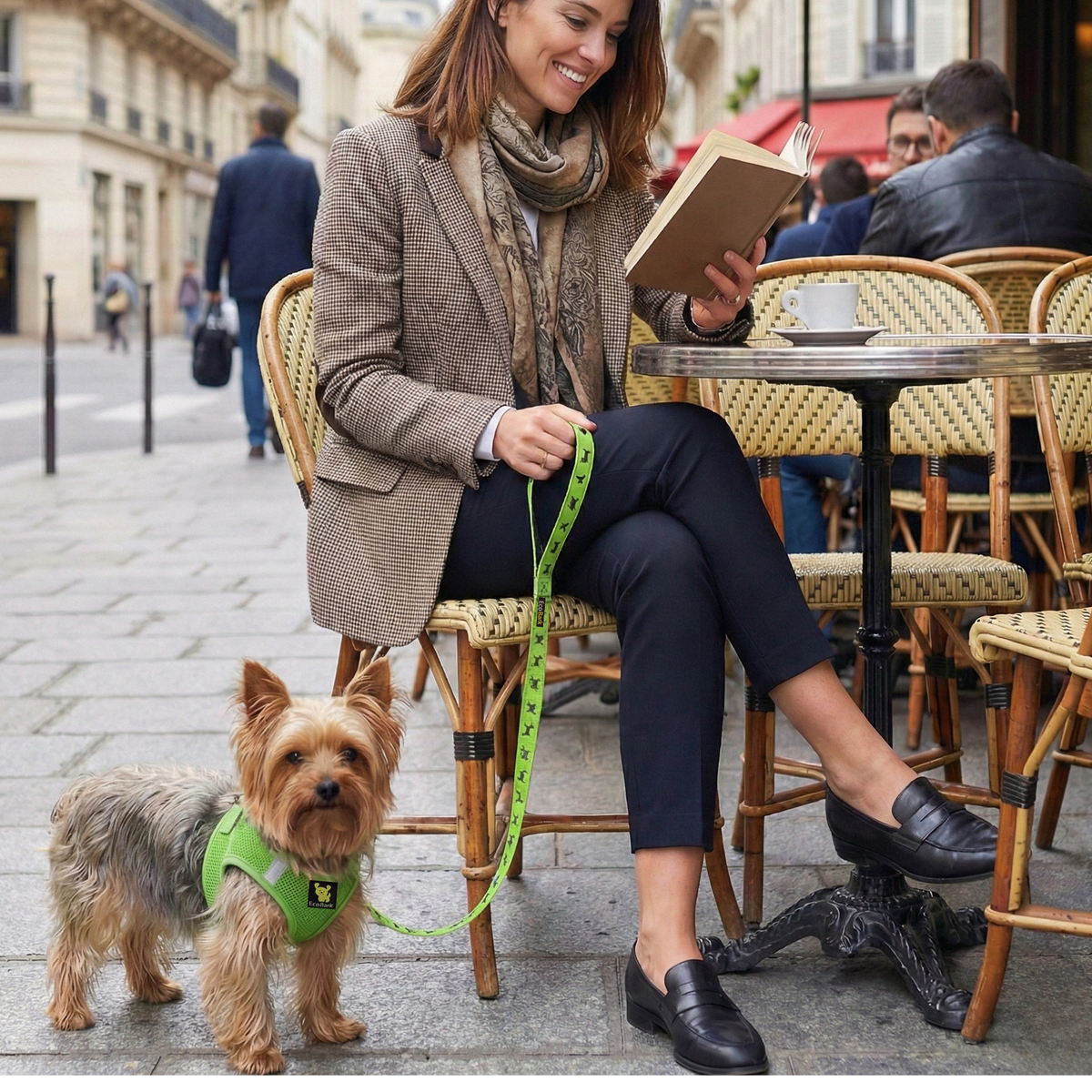 EcoBark Lime Green Step In Dog Harness - Reflective Soft Mesh Harness for Teacup, Small Dogs and Puppies