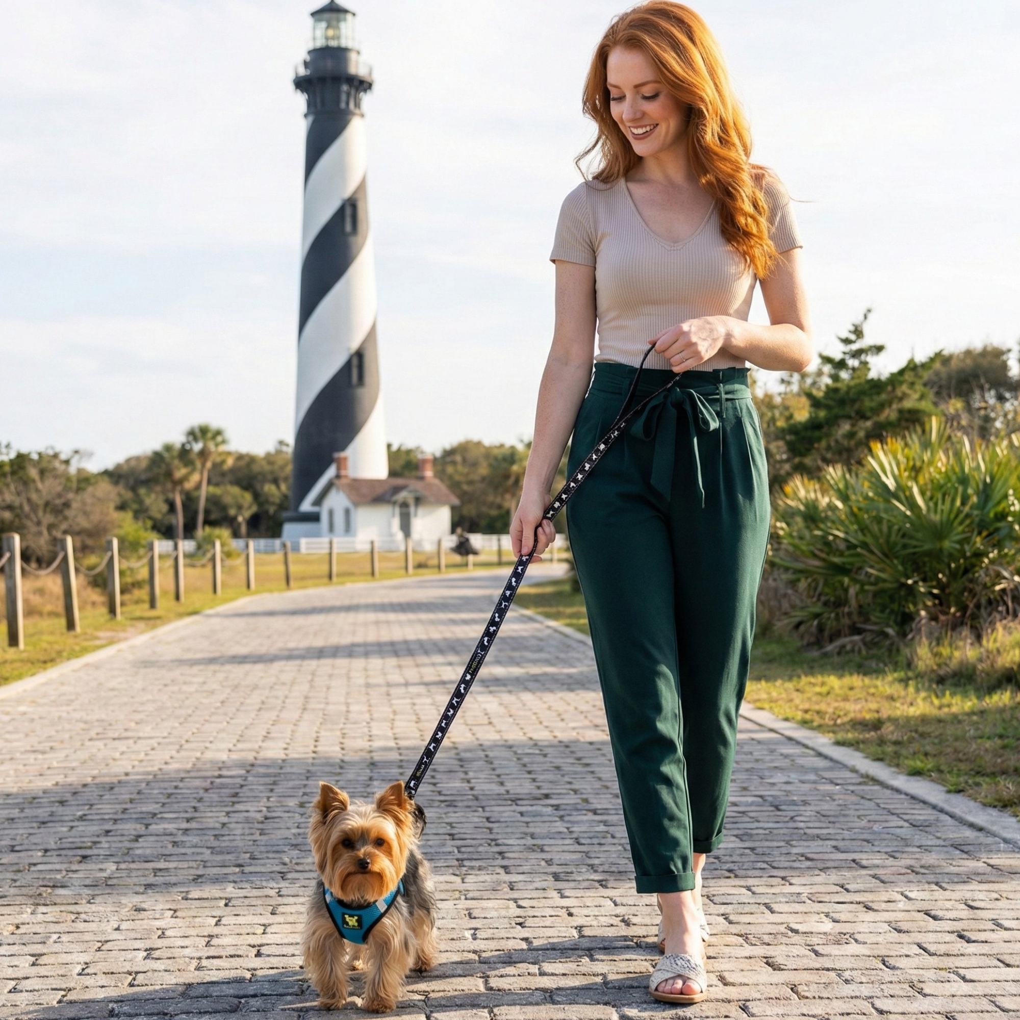 EcoBark Step In Dog Harness - XXXS to Small Breeds- Reflective Soft Mesh Harness for Teacup, Small Dogs and Puppies / Teal
