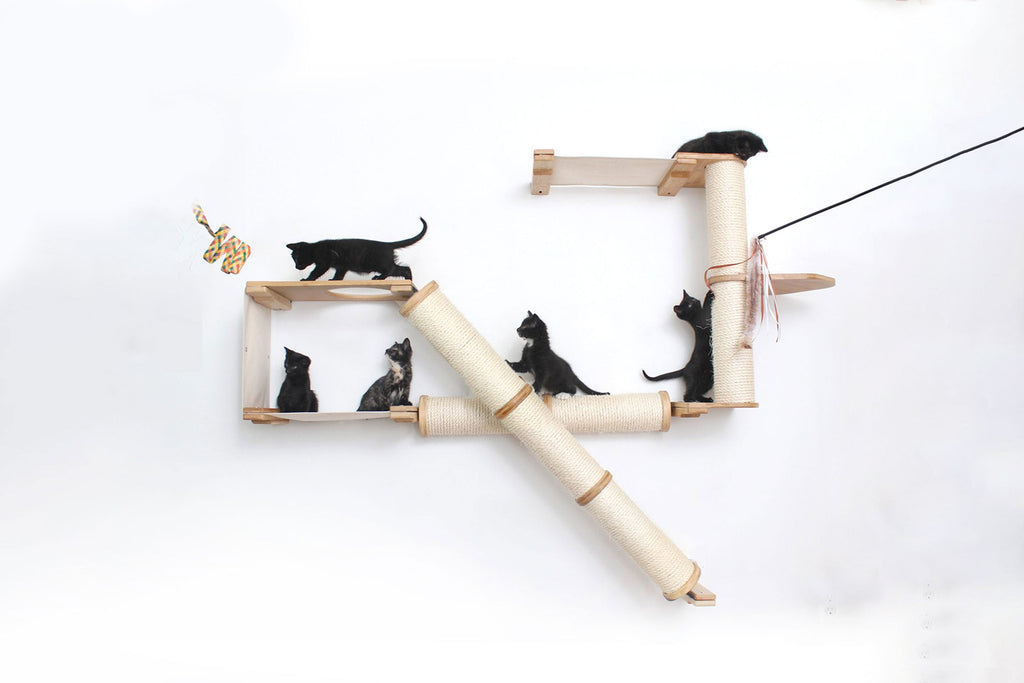 The Crossroads - Cat Wall Scratcher - Tree with Ramp